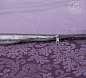 Постельное белье поплин Вирджиния (фиолетовый) - фото 4